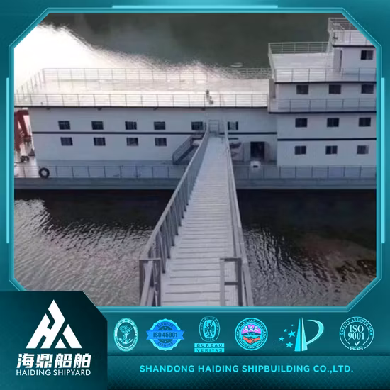 Lime per canali radicolari, lime dentali, materiali dentali, lime per canali radicolari endodontici, pronti per la spedizione